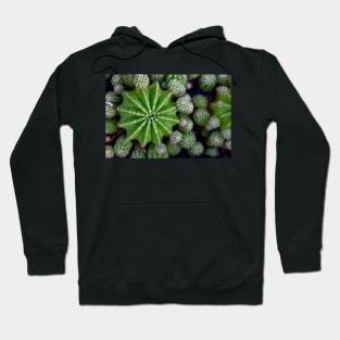 Catcus Garden Hoodie